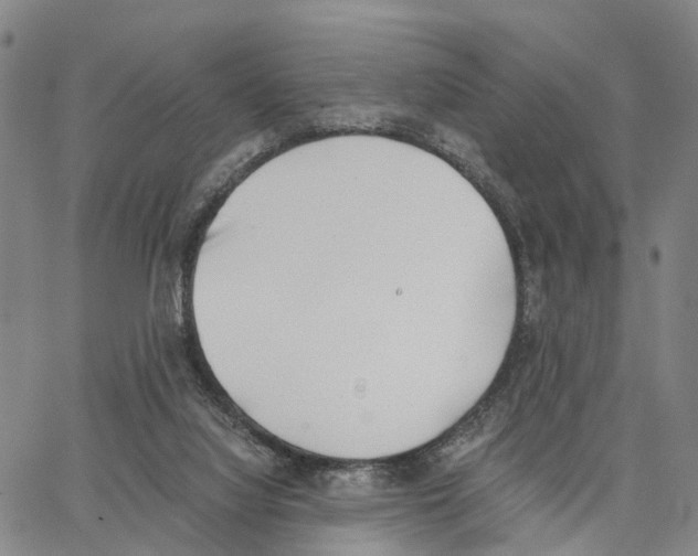 X0000062870068200602101702