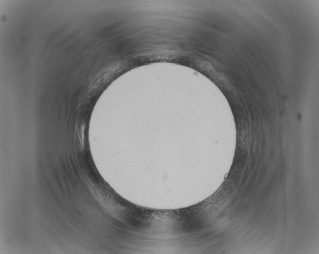 X0000062870070200602101702