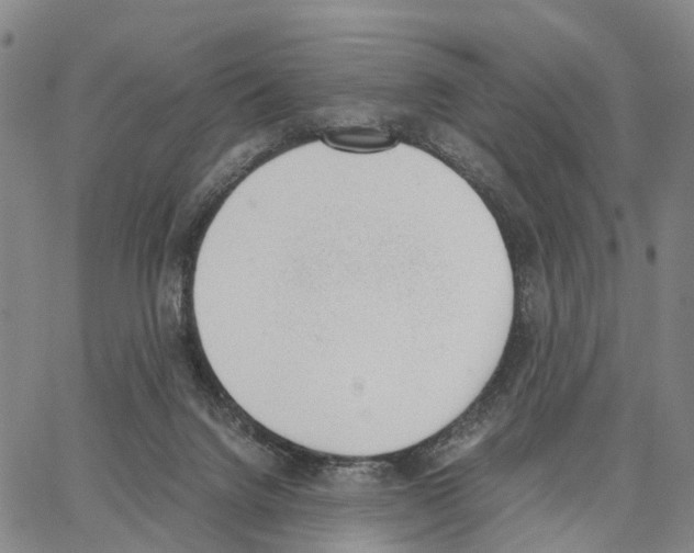 X0000062870072200602101702