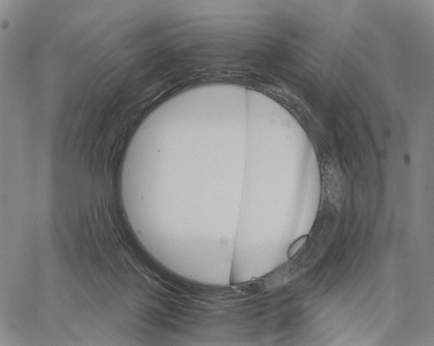 X0000062870075200602101702