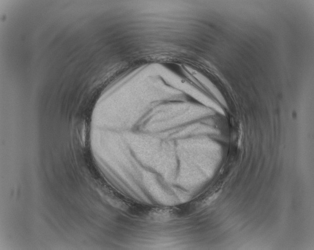 X0000062870076200602101702