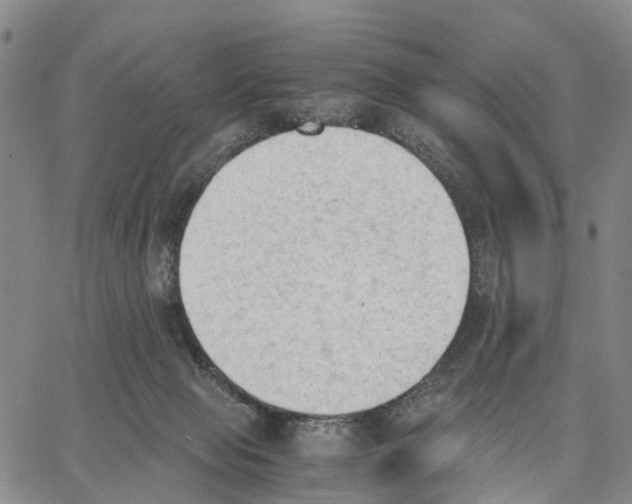 X0000062870077200602101702