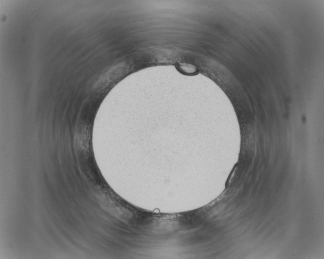 X0000062870078200602101702