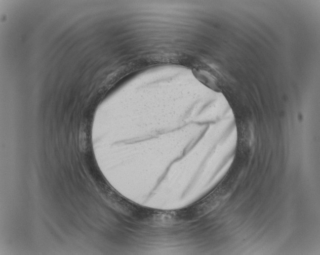 X0000062870080200602101702