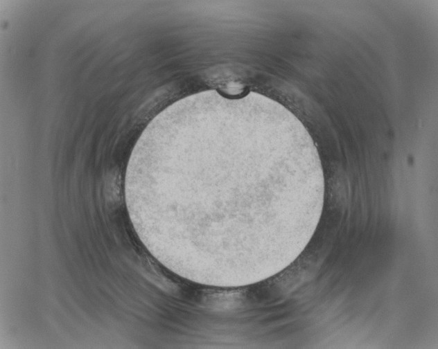 X0000062870081200602101702