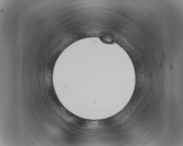 X0000062870083200602101702