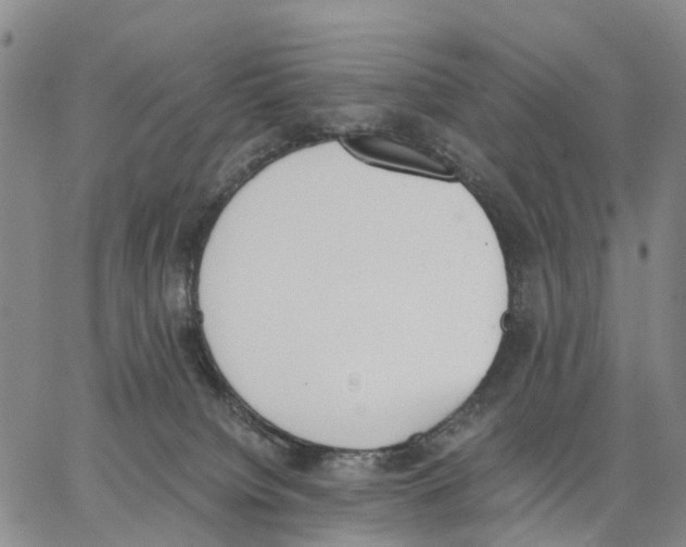 X0000062870084200602101702