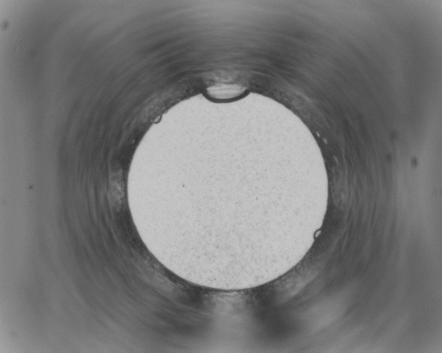 X0000062870085200602101702