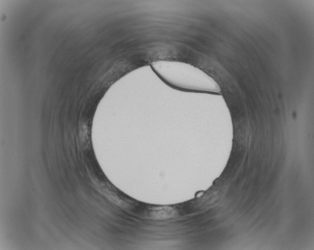 X0000062870087200602101702