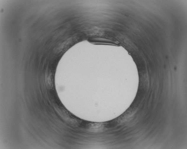 X0000062870088200602101702