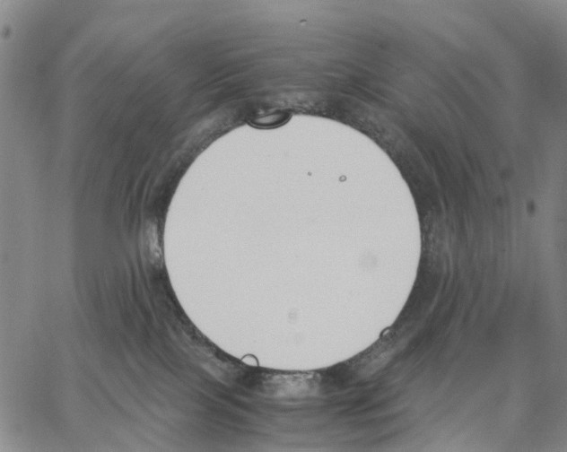 X0000062870089200602101702