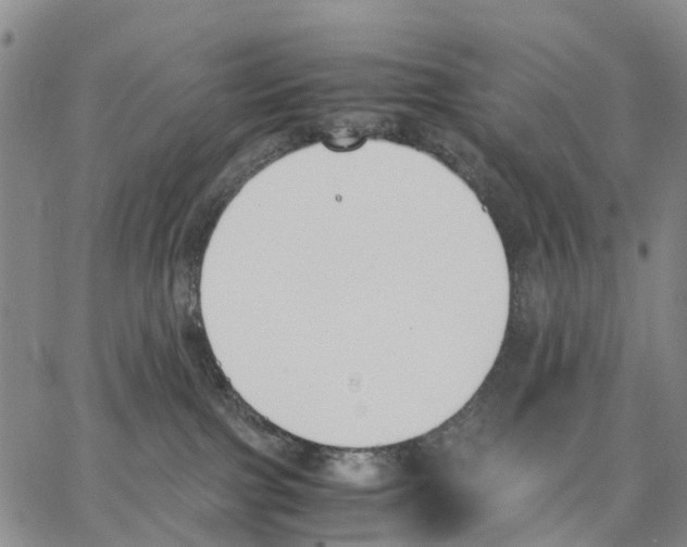 X0000062870091200602101702