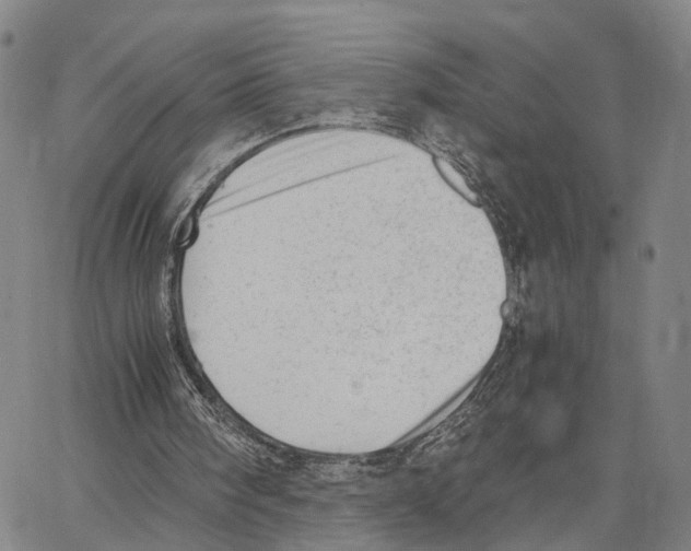 X0000062870098200602101701