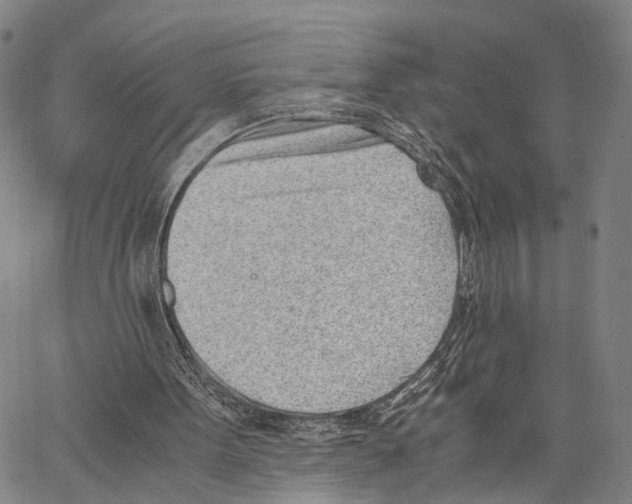 X0000062870099200602101701