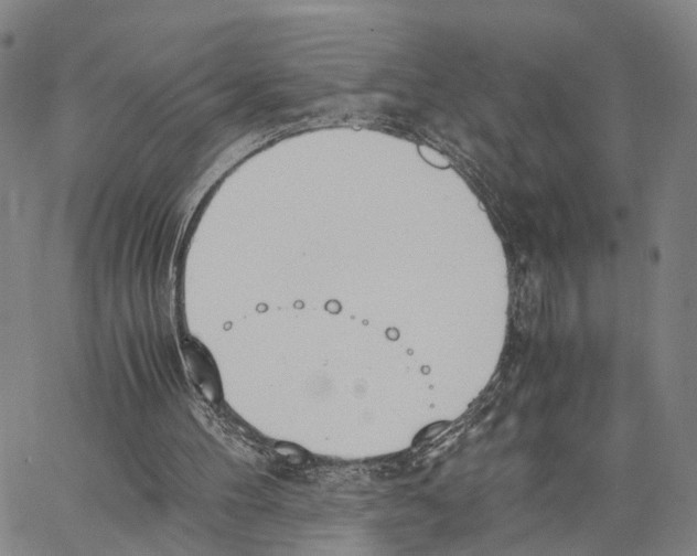 X0000062870100200602101701