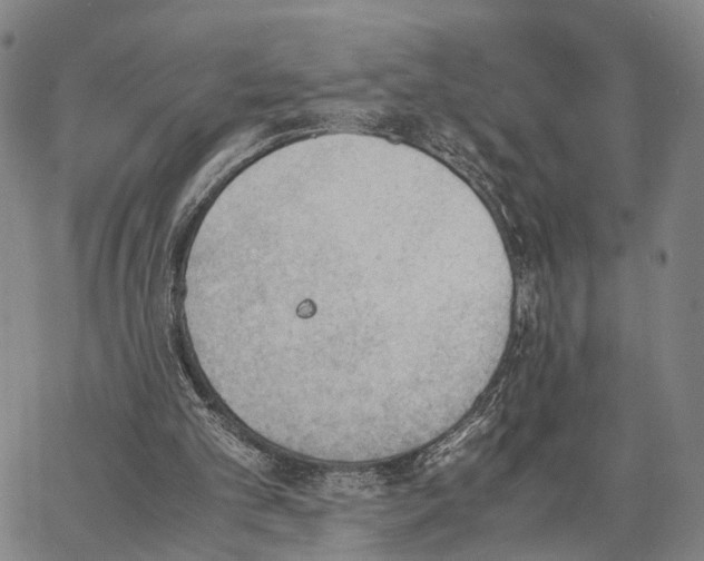 X0000062870101200602101701