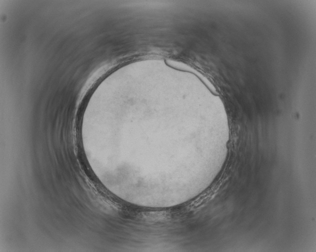 X0000062870102200602101701