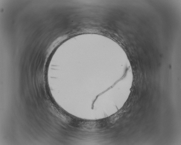 X0000062870104200602101701