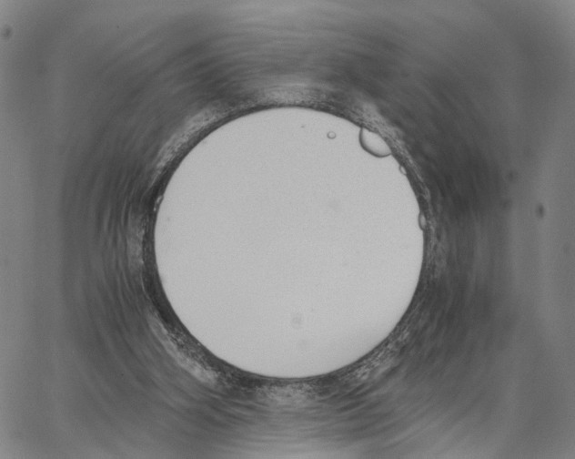 X0000062870106200602101701