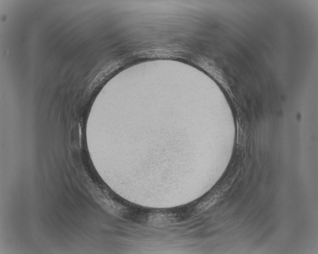 X0000062870109200602101701