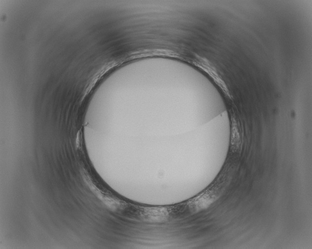 X0000062870110200602101701