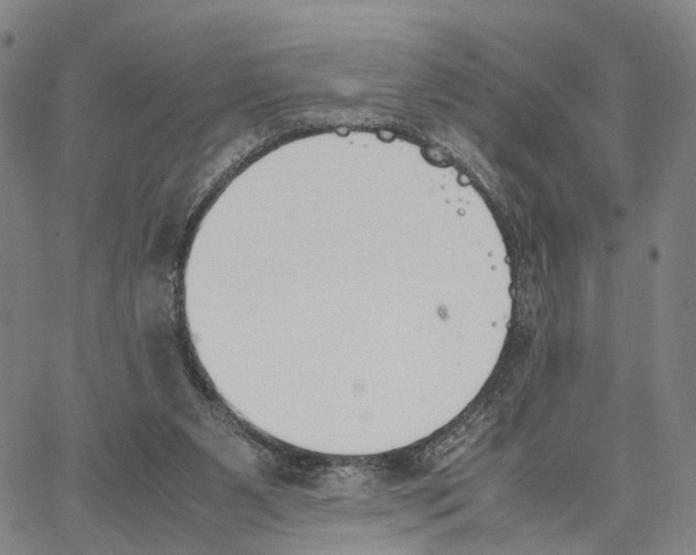 X0000062870111200602101701