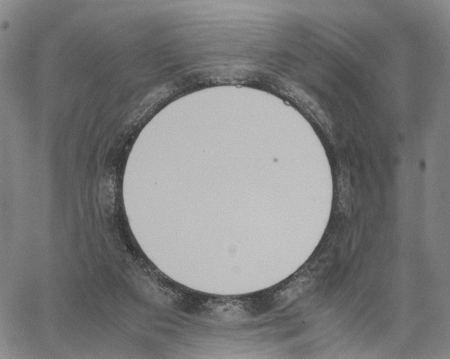 X0000062870113200602101701