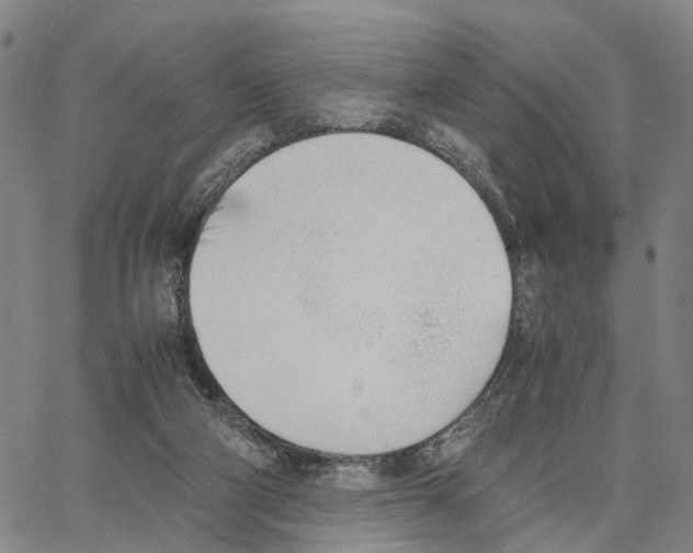 X0000062870114200602101701