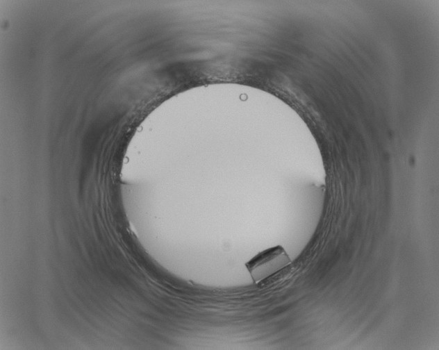 X0000062870117200602101701