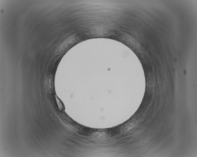 X0000062870119200602101701