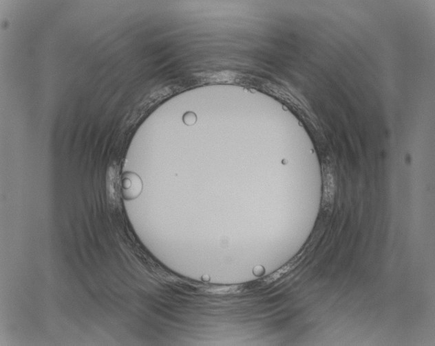 X0000062870122200602101701