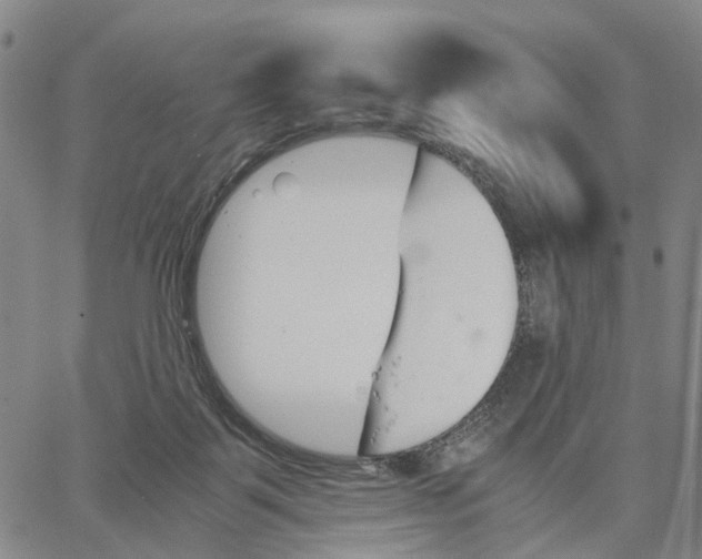 X0000062870123200602101701