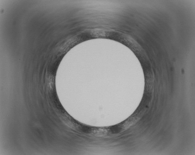 X0000062870125200602101701