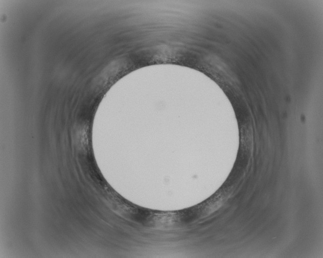 X0000062870127200602101701