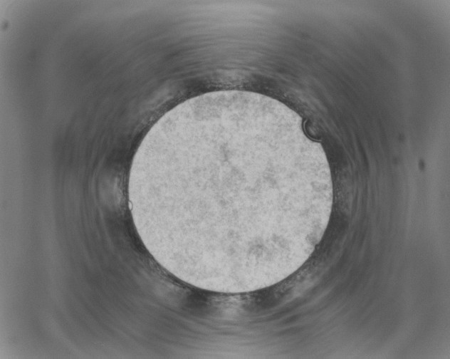 X0000062870131200602101701