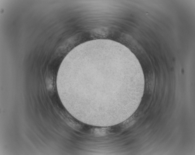 X0000062870134200602101701