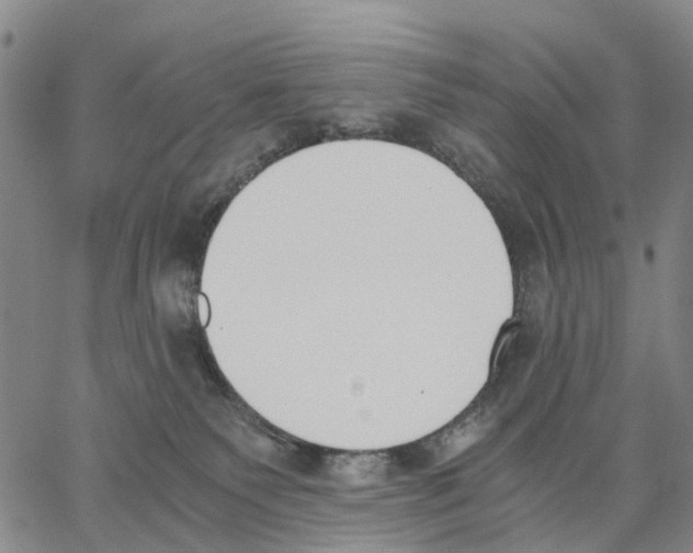 X0000062870135200602101701