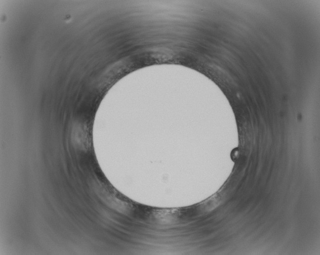 X0000062870136200602101701