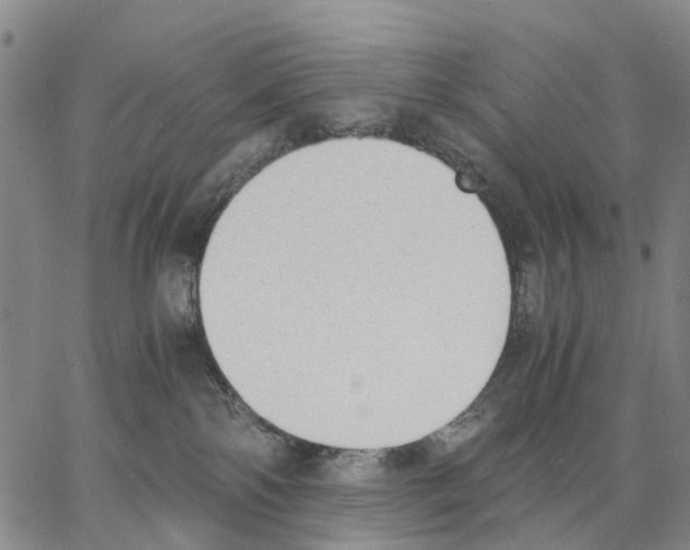 X0000062870138200602101701