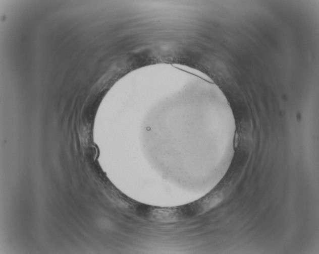 X0000062870139200602101701