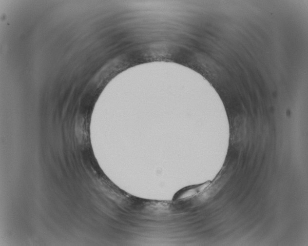 X0000062870140200602101701