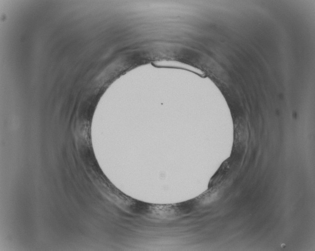 X0000062870141200602101701