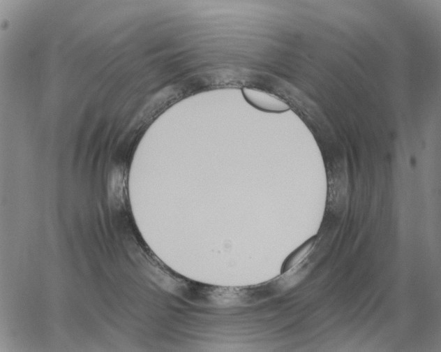 X0000062870142200602101701