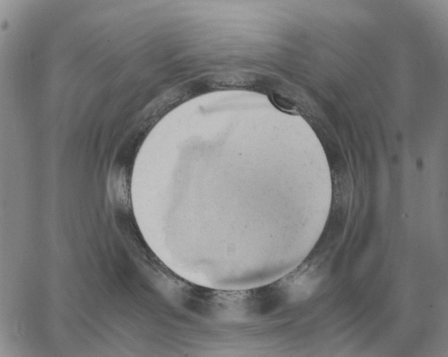 X0000062870143200602101701