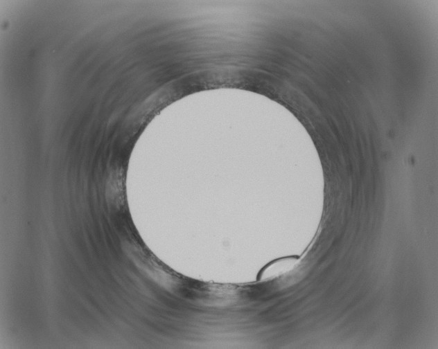 X0000062870144200602101701