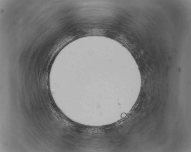 X0000062870146200602101700