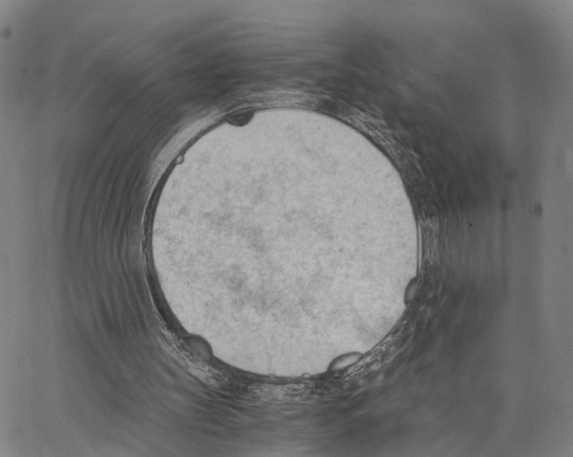 X0000062870147200602101700