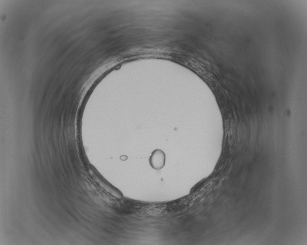 X0000062870148200602101700