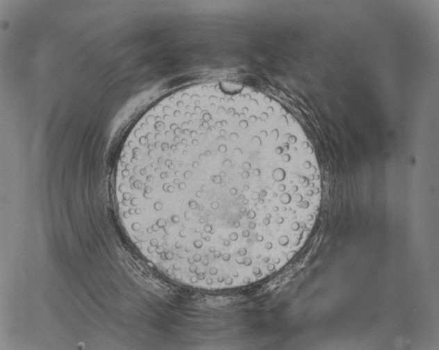 X0000062870149200602101700