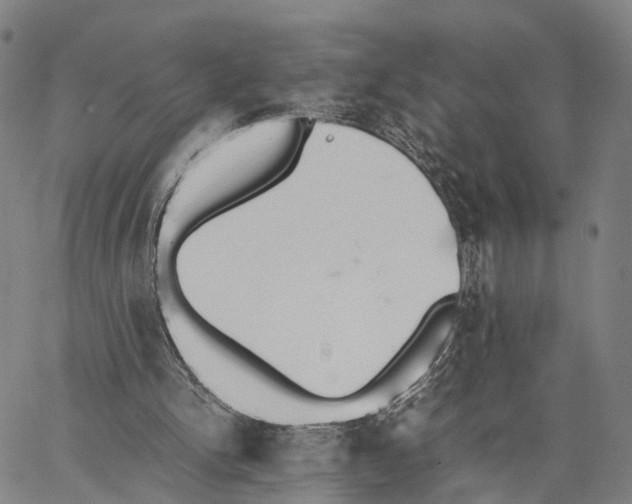 X0000062870150200602101700